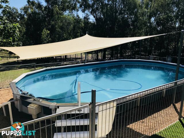 47 Staatz Quarry Rd REGENCY DOWNS QLD 4341