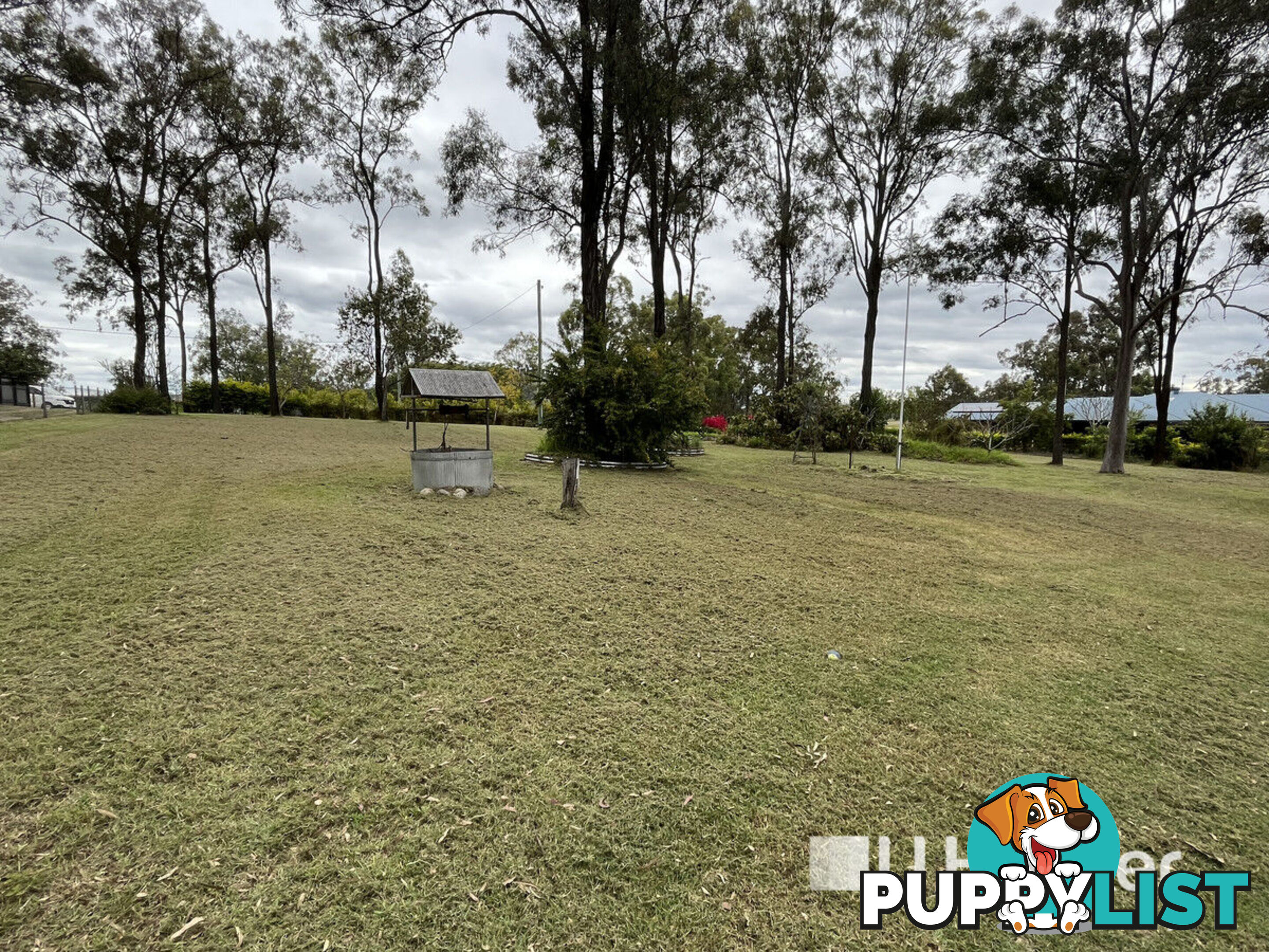 5 Aaron Court REGENCY DOWNS QLD 4341