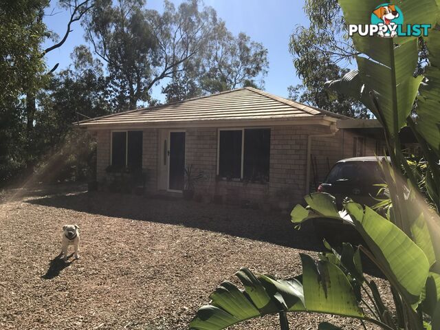 19 Bentley Dr REGENCY DOWNS QLD 4341