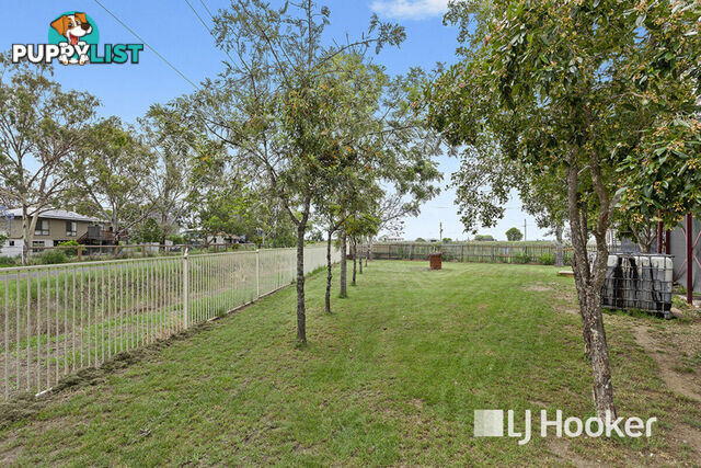 36 Robert Street FOREST HILL QLD 4342