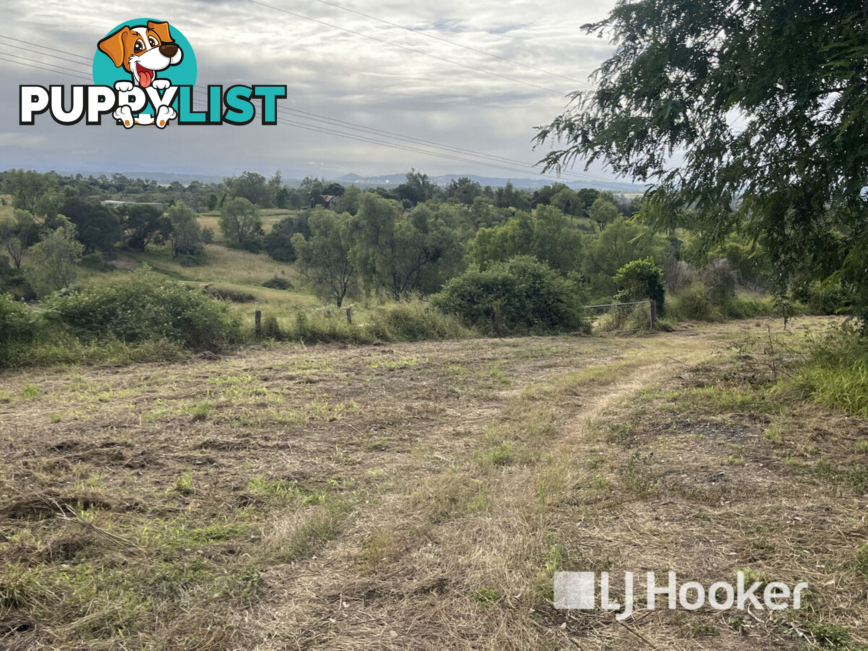3 Schadwell Road BLENHEIM QLD 4341