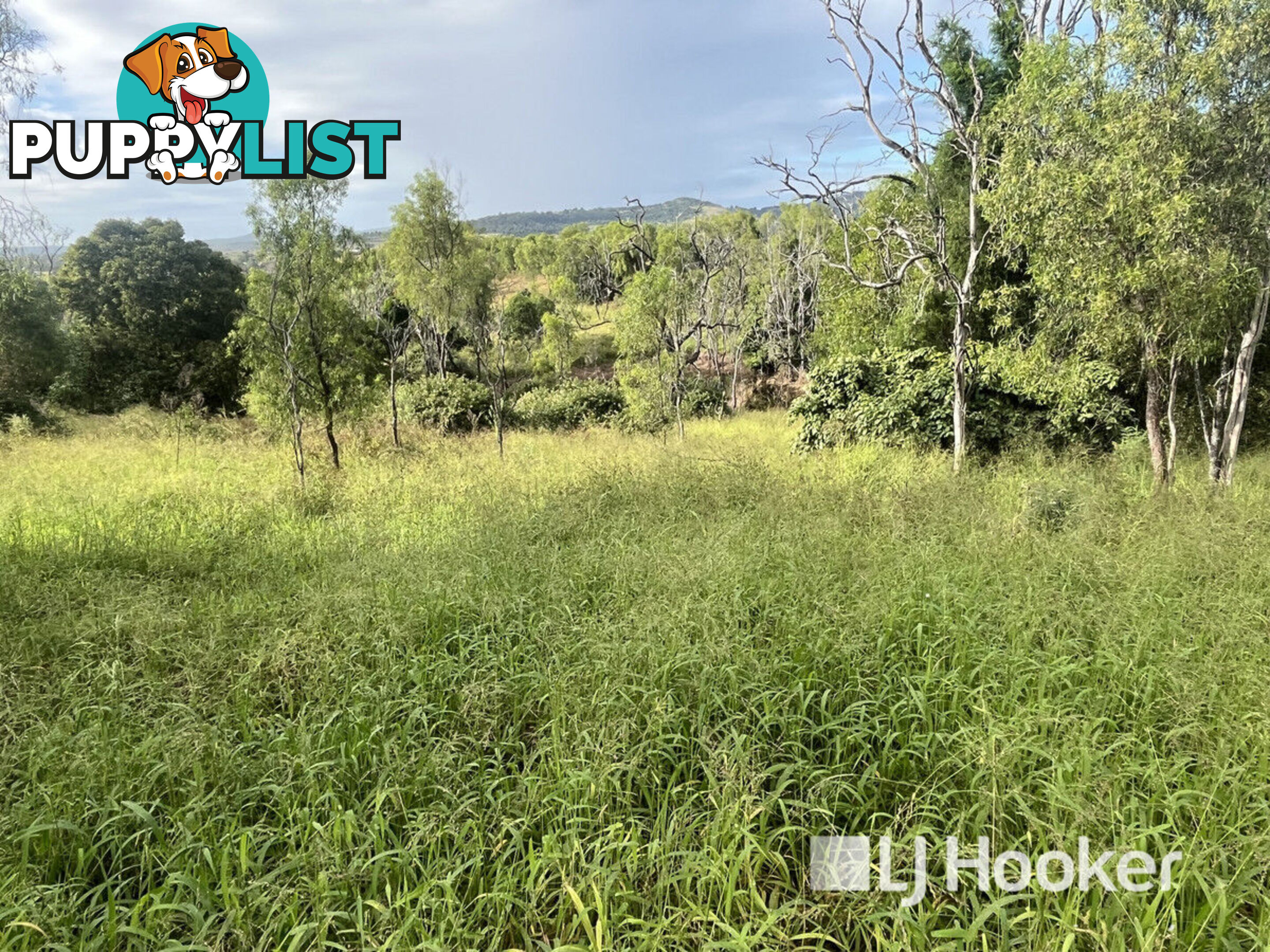 3 Schadwell Road BLENHEIM QLD 4341