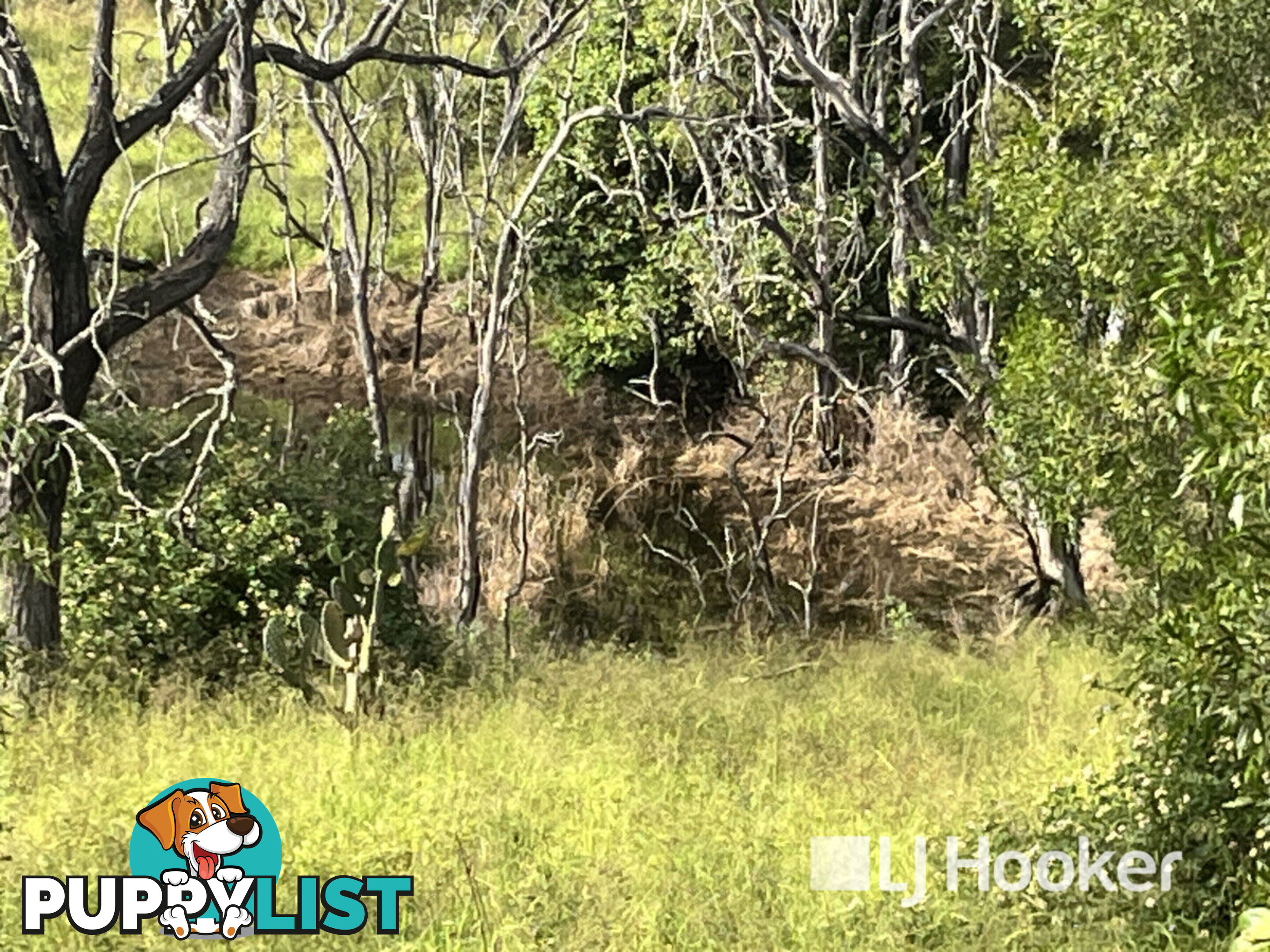 3 Schadwell Road BLENHEIM QLD 4341