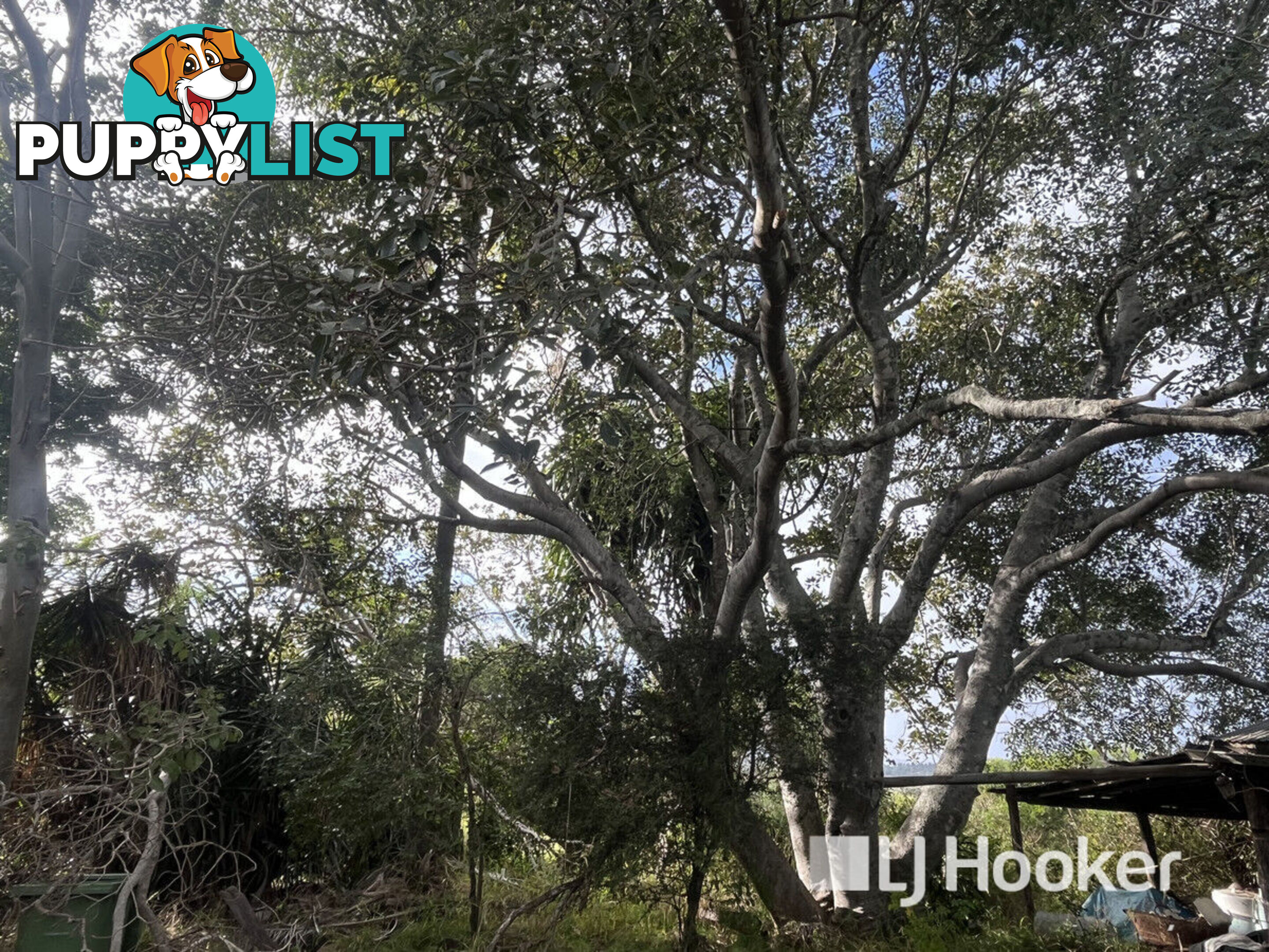3 Schadwell Road BLENHEIM QLD 4341