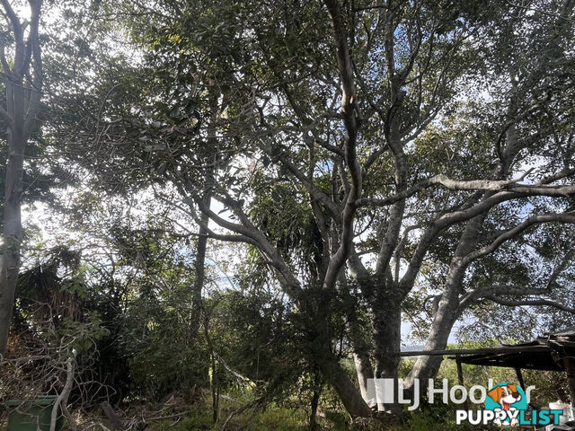 3 Schadwell Road BLENHEIM QLD 4341