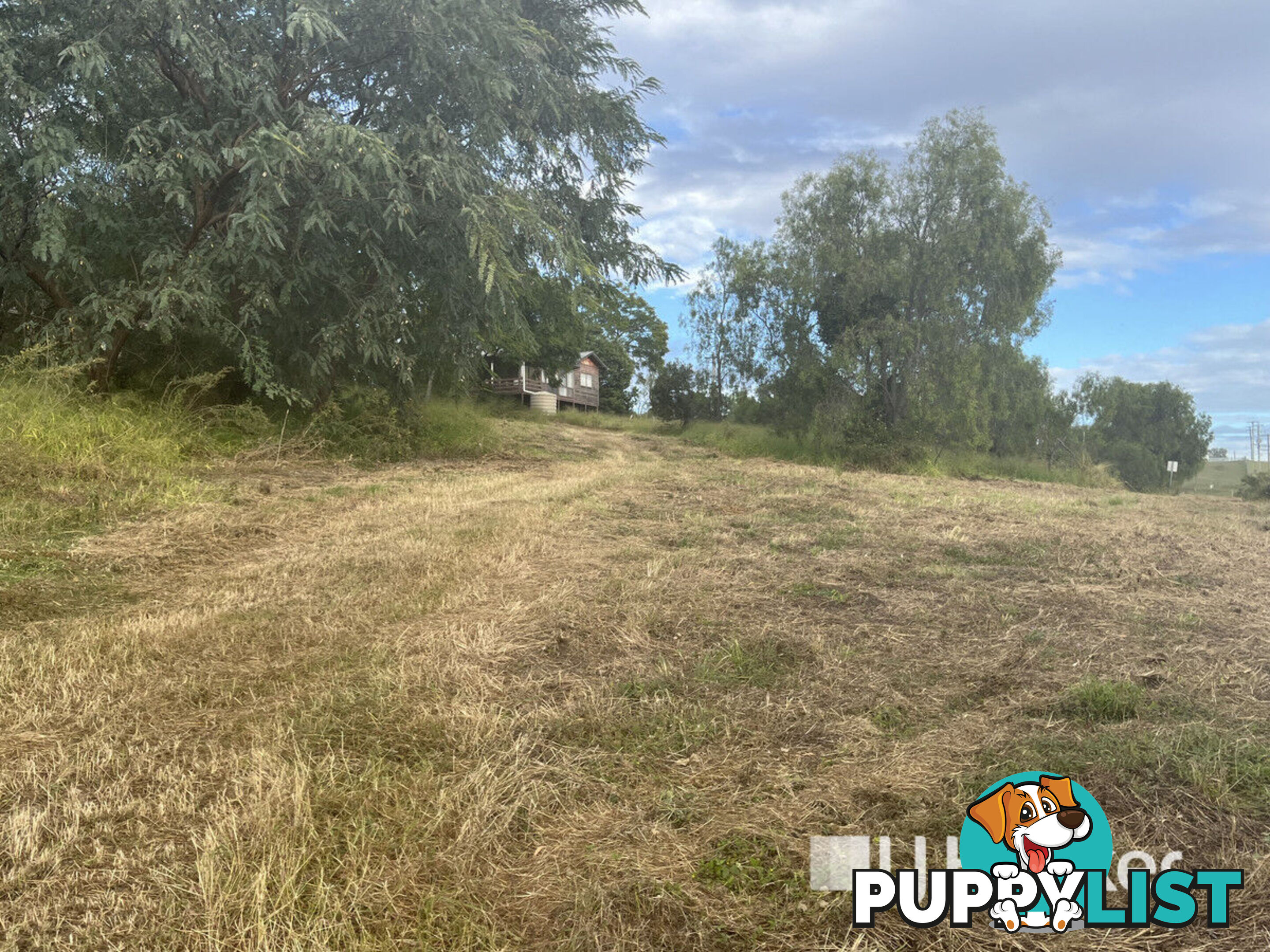 3 Schadwell Road BLENHEIM QLD 4341