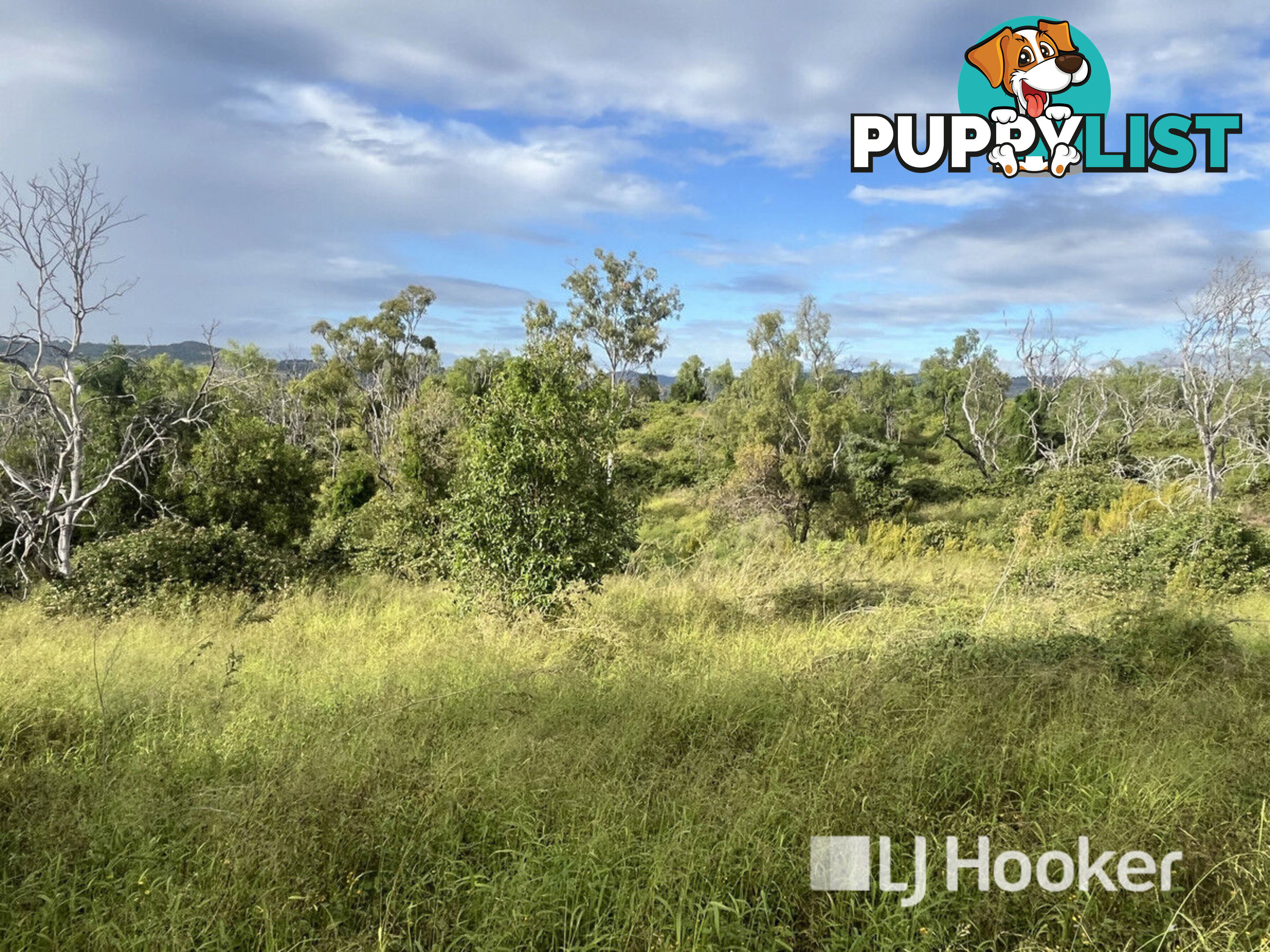 3 Schadwell Road BLENHEIM QLD 4341