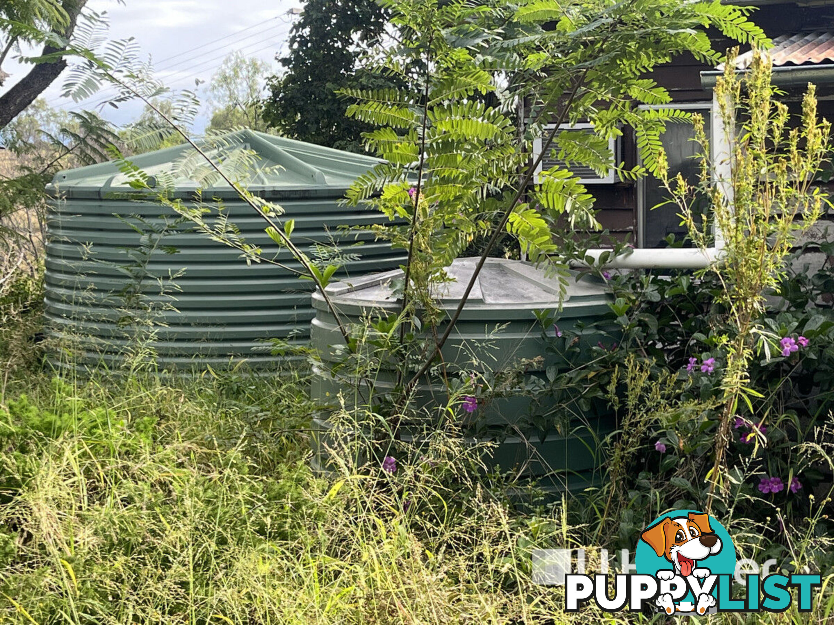 3 Schadwell Road BLENHEIM QLD 4341