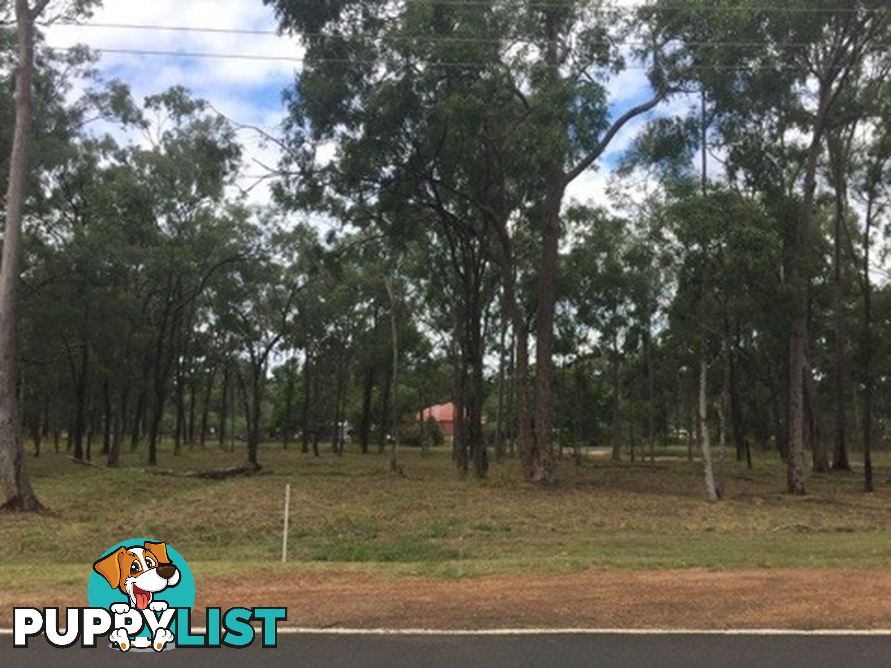 24 Linde Street COOMINYA QLD 4311