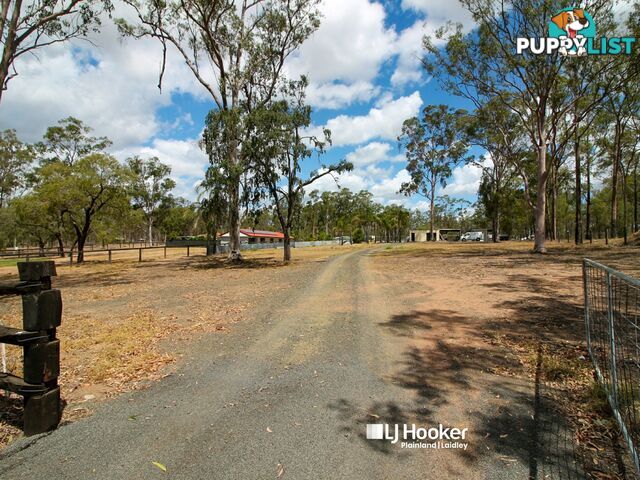 39b Waddington Parade FOREST HILL QLD 4342