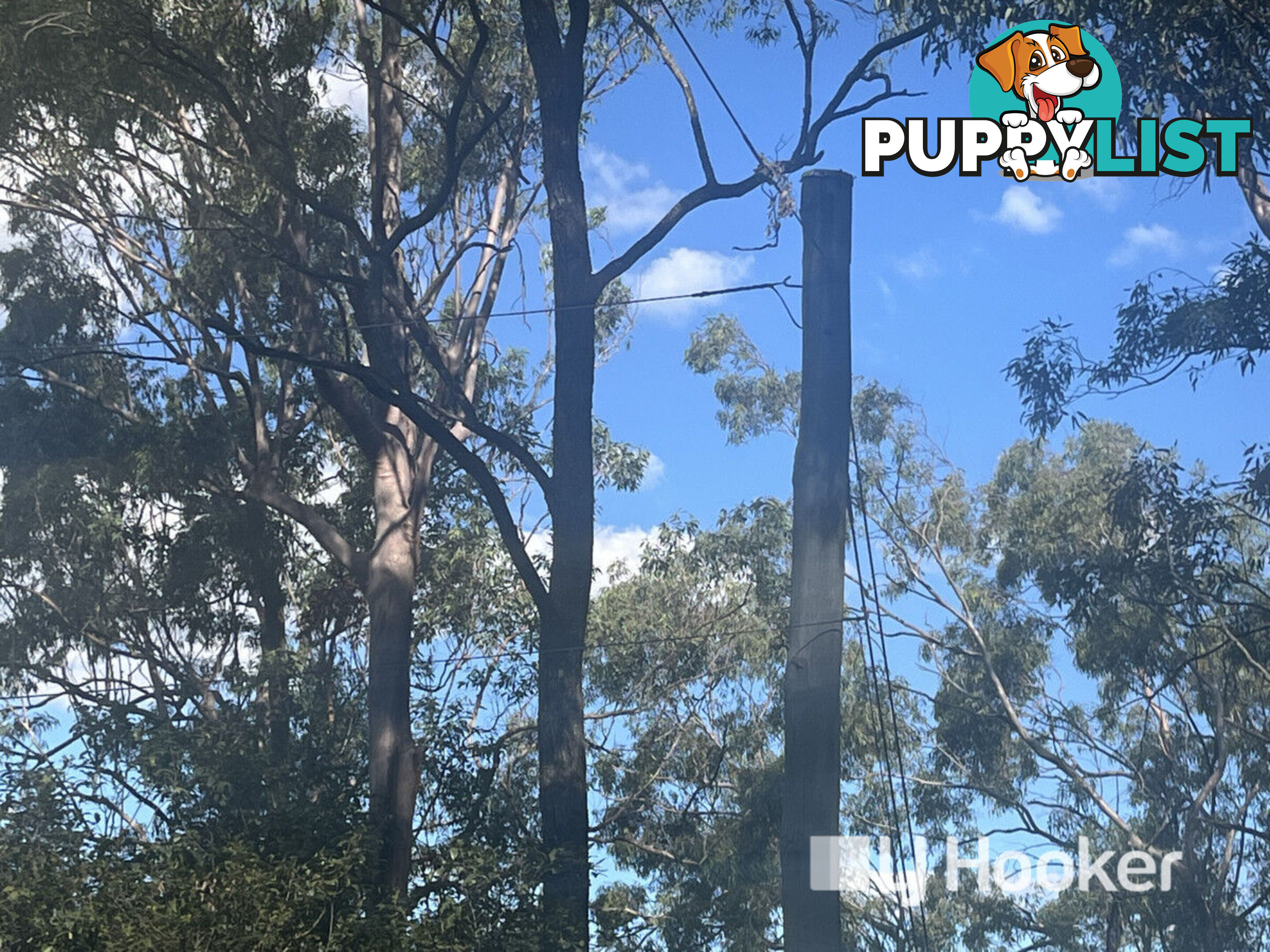 134 Outlook Drive ESK QLD 4312