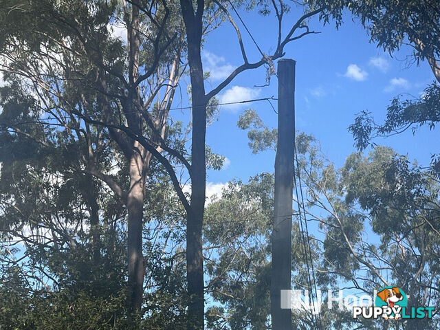 134 Outlook Drive ESK QLD 4312
