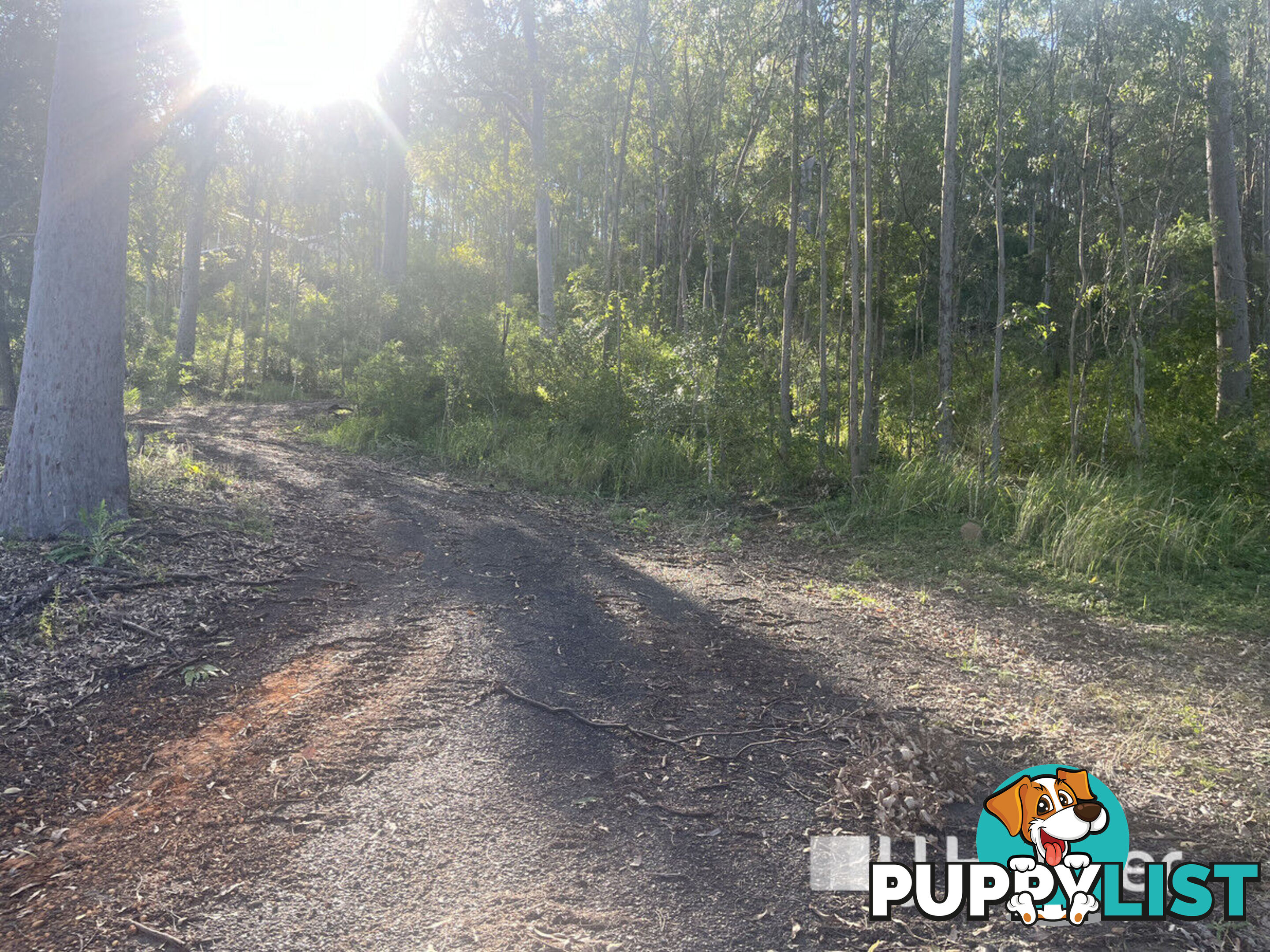 134 Outlook Drive ESK QLD 4312