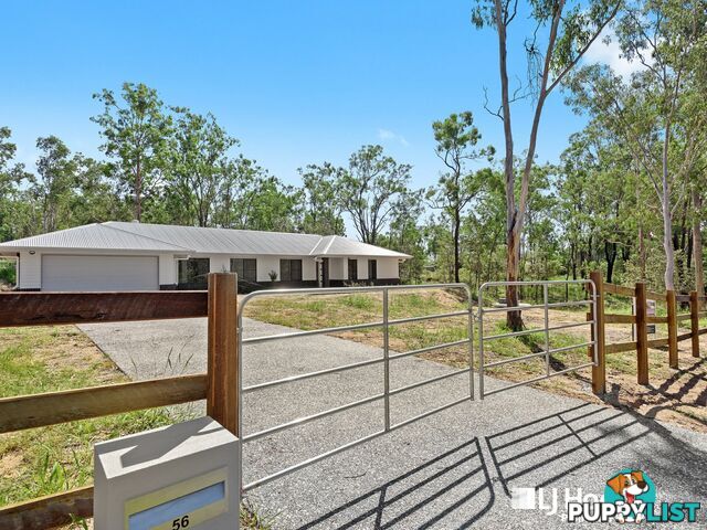 56 Walnut Drive BRIGHTVIEW QLD 4311