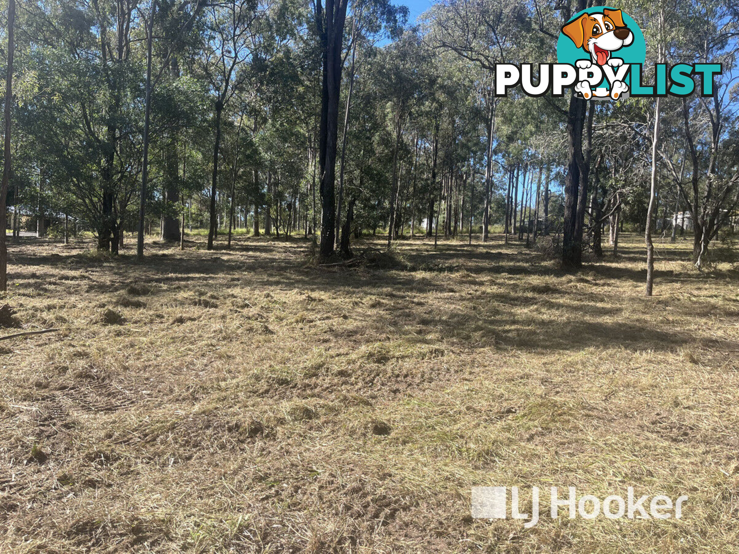 49 Hewett Drive REGENCY DOWNS QLD 4341