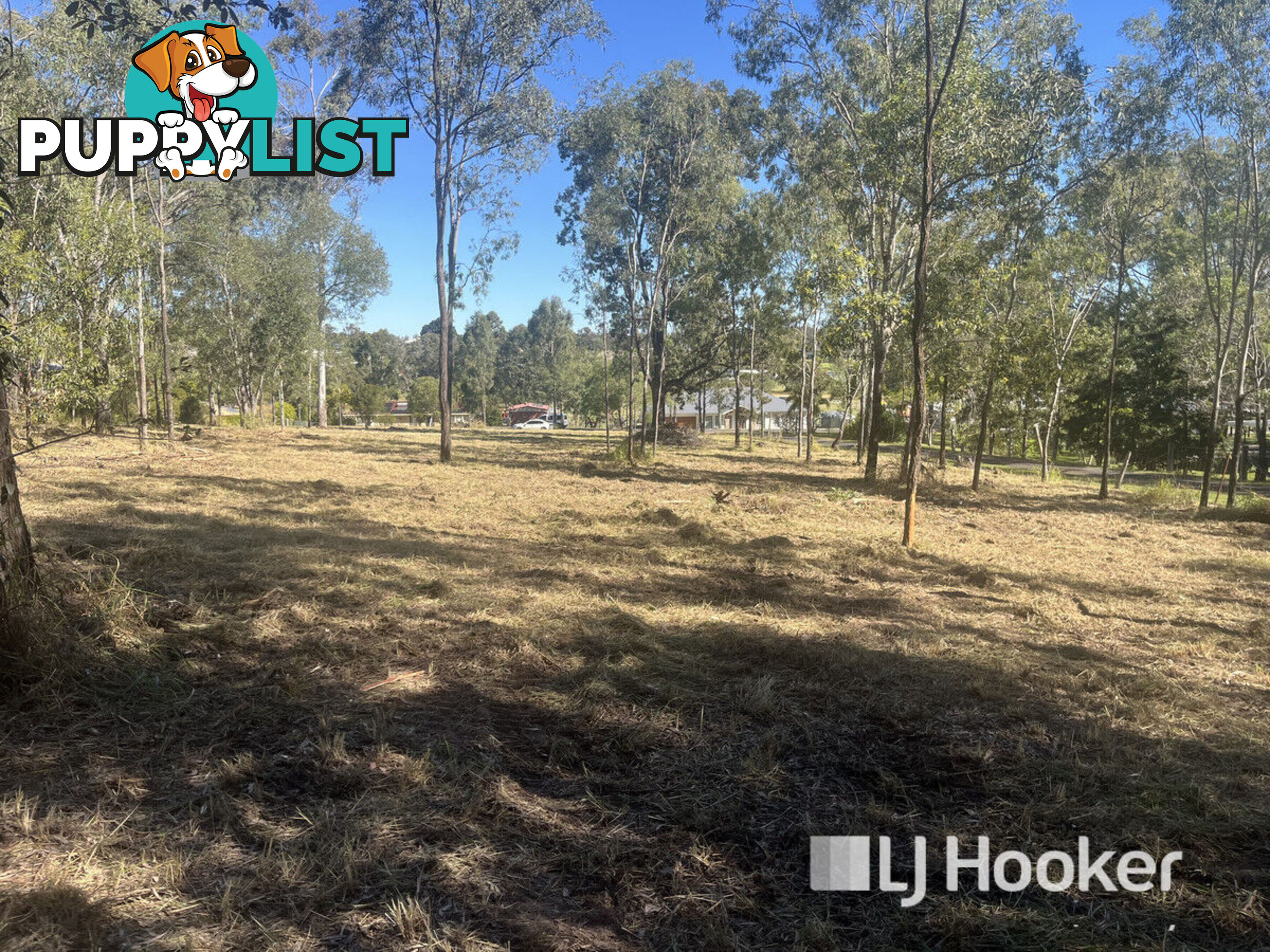49 Hewett Drive REGENCY DOWNS QLD 4341