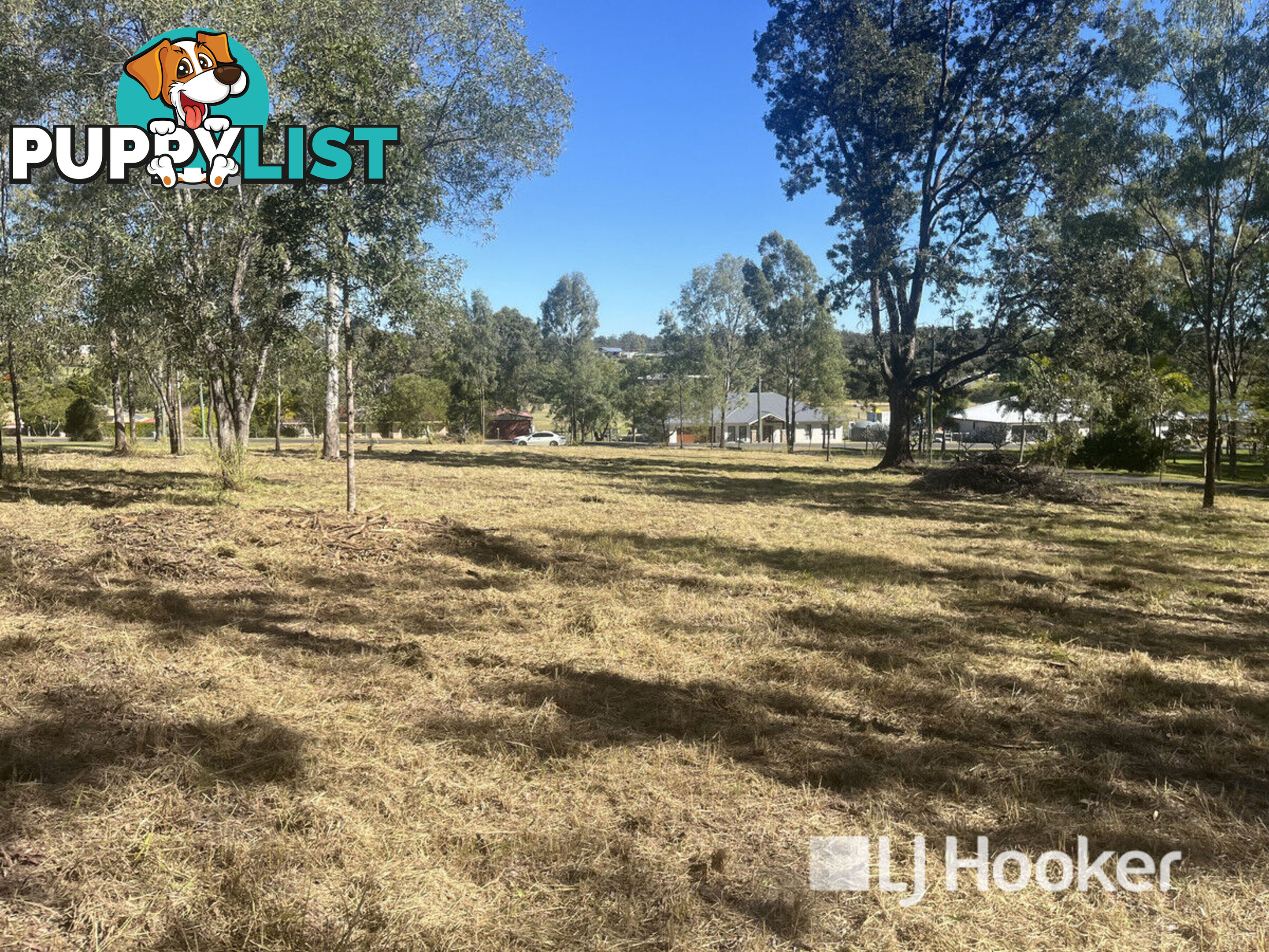 49 Hewett Drive REGENCY DOWNS QLD 4341
