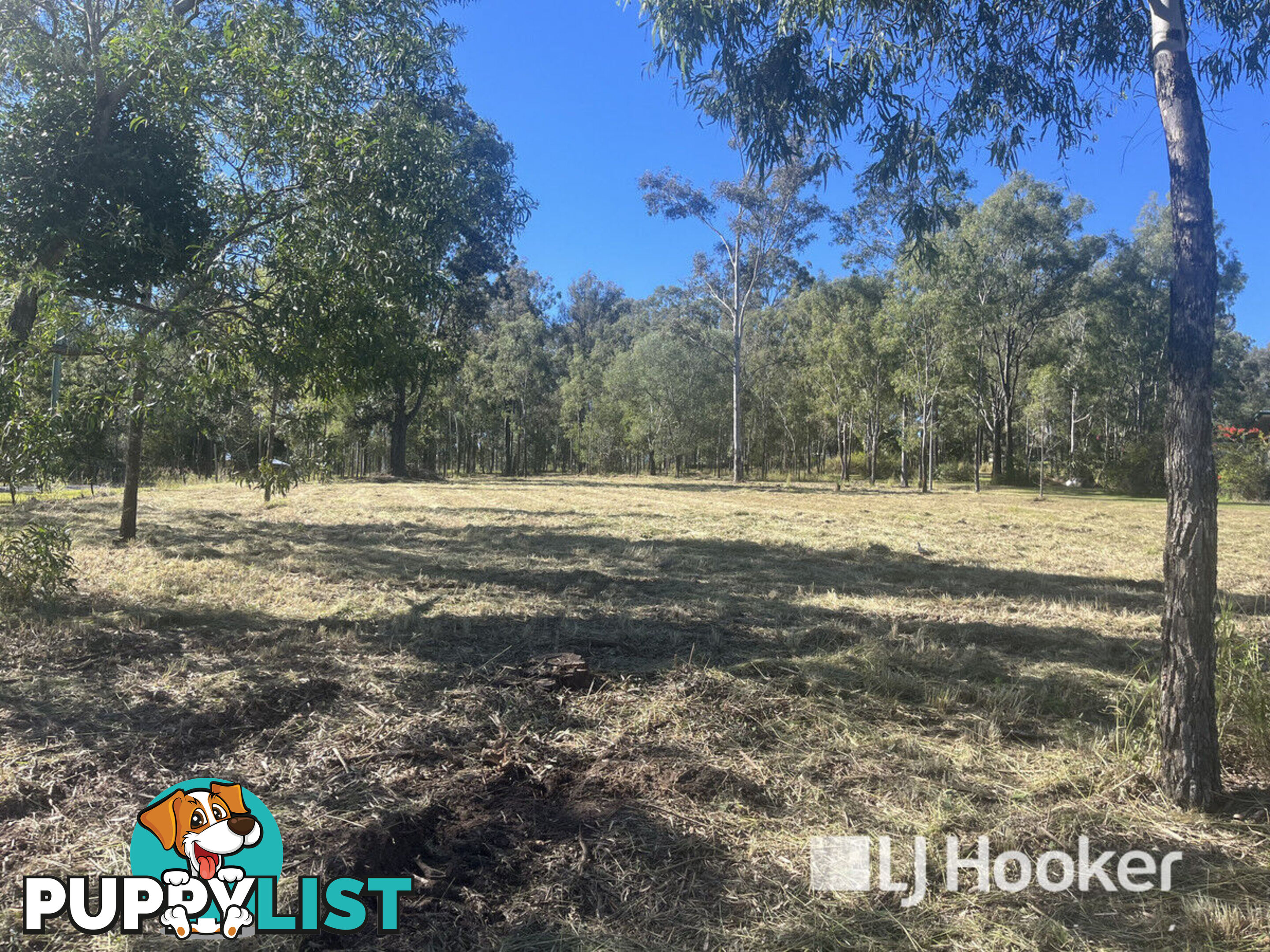 49 Hewett Drive REGENCY DOWNS QLD 4341