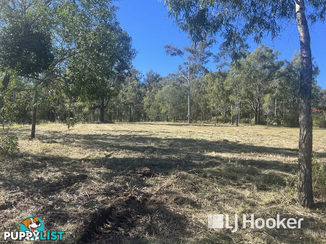 49 Hewett Drive REGENCY DOWNS QLD 4341