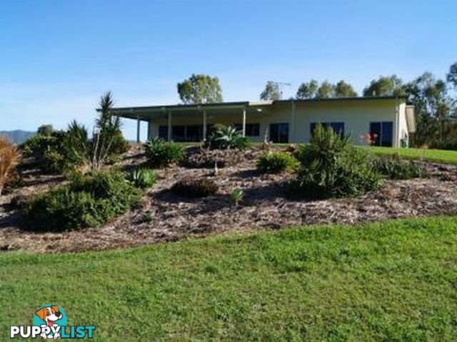 239 Mulgowie Road THORNTON QLD 4341