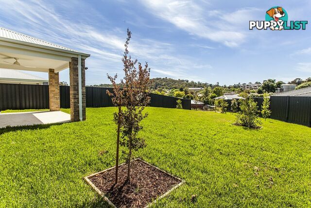 9 Wynnlea Place LILYDALE VIC 3140