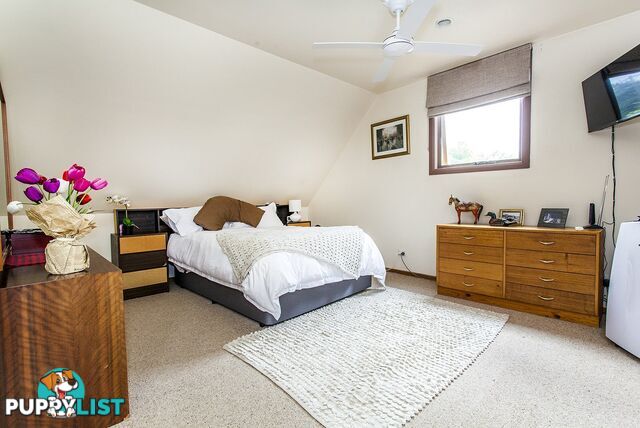 141 Pembroke Road MOOROOLBARK VIC 3138