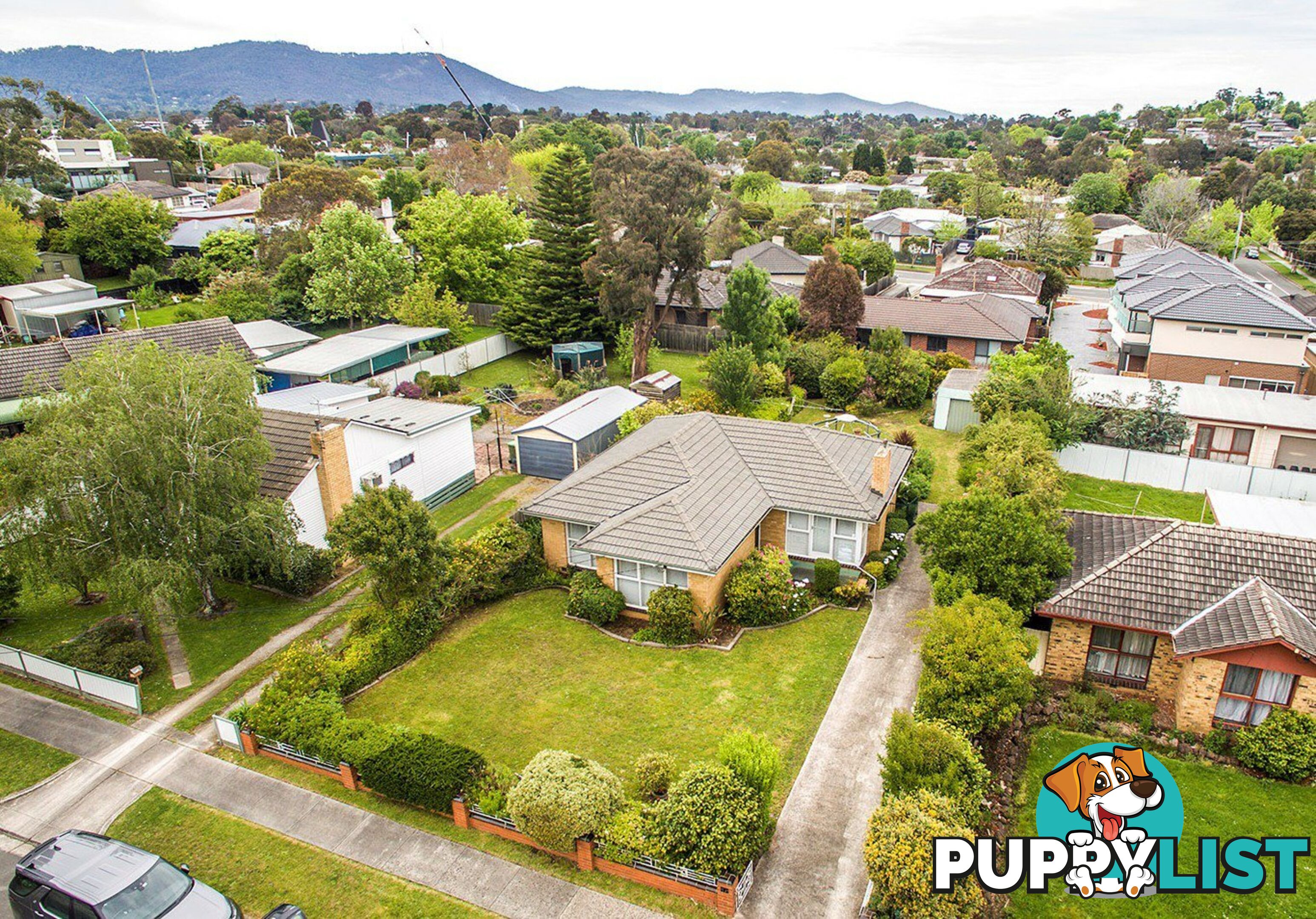 17 Neville Street MOOROOLBARK VIC 3138