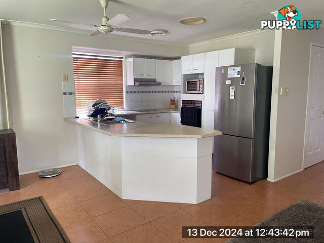 32 Daintree Drive PARKWOOD QLD 4214