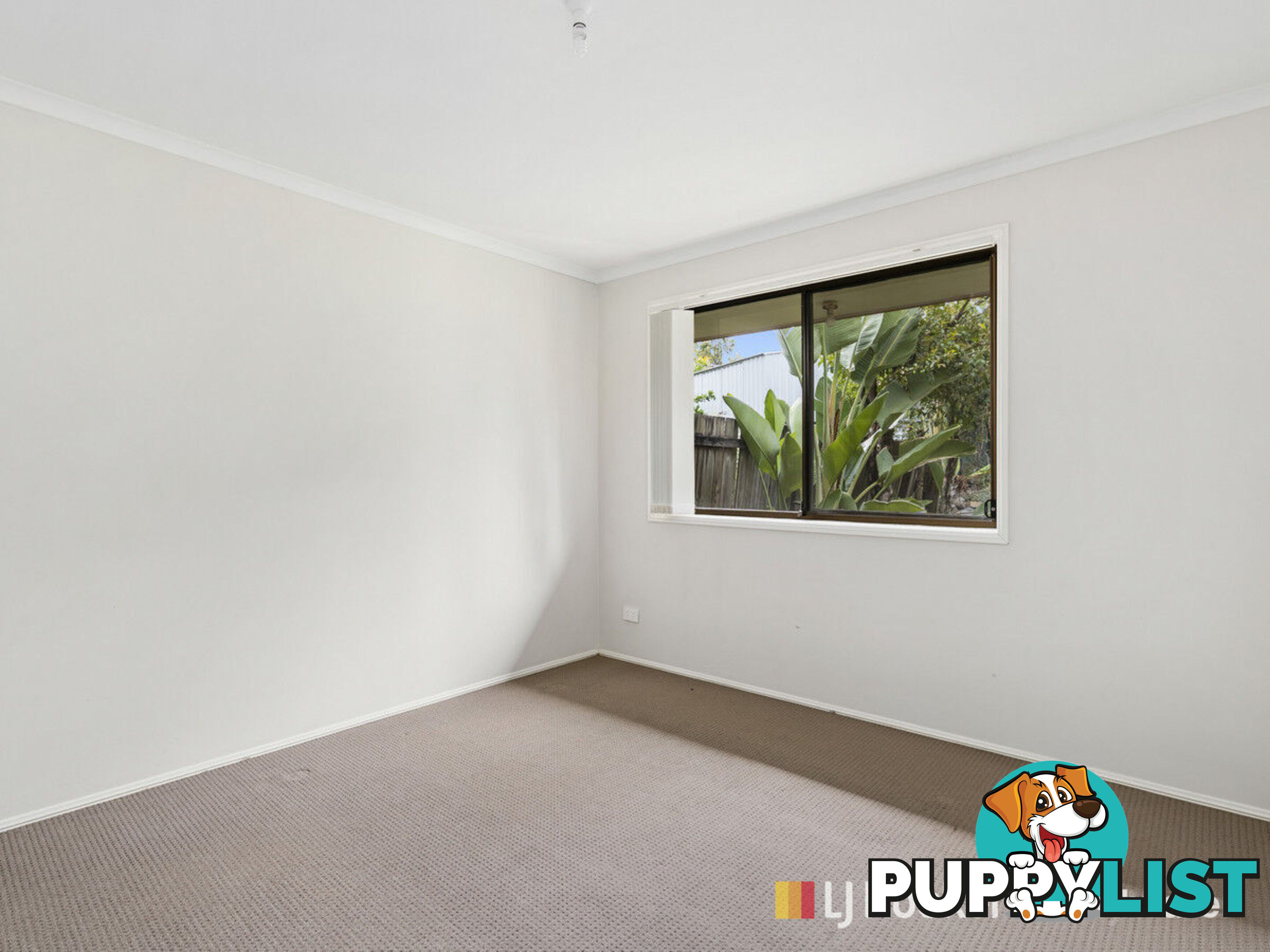 1/8 Academy Street OXENFORD QLD 4210