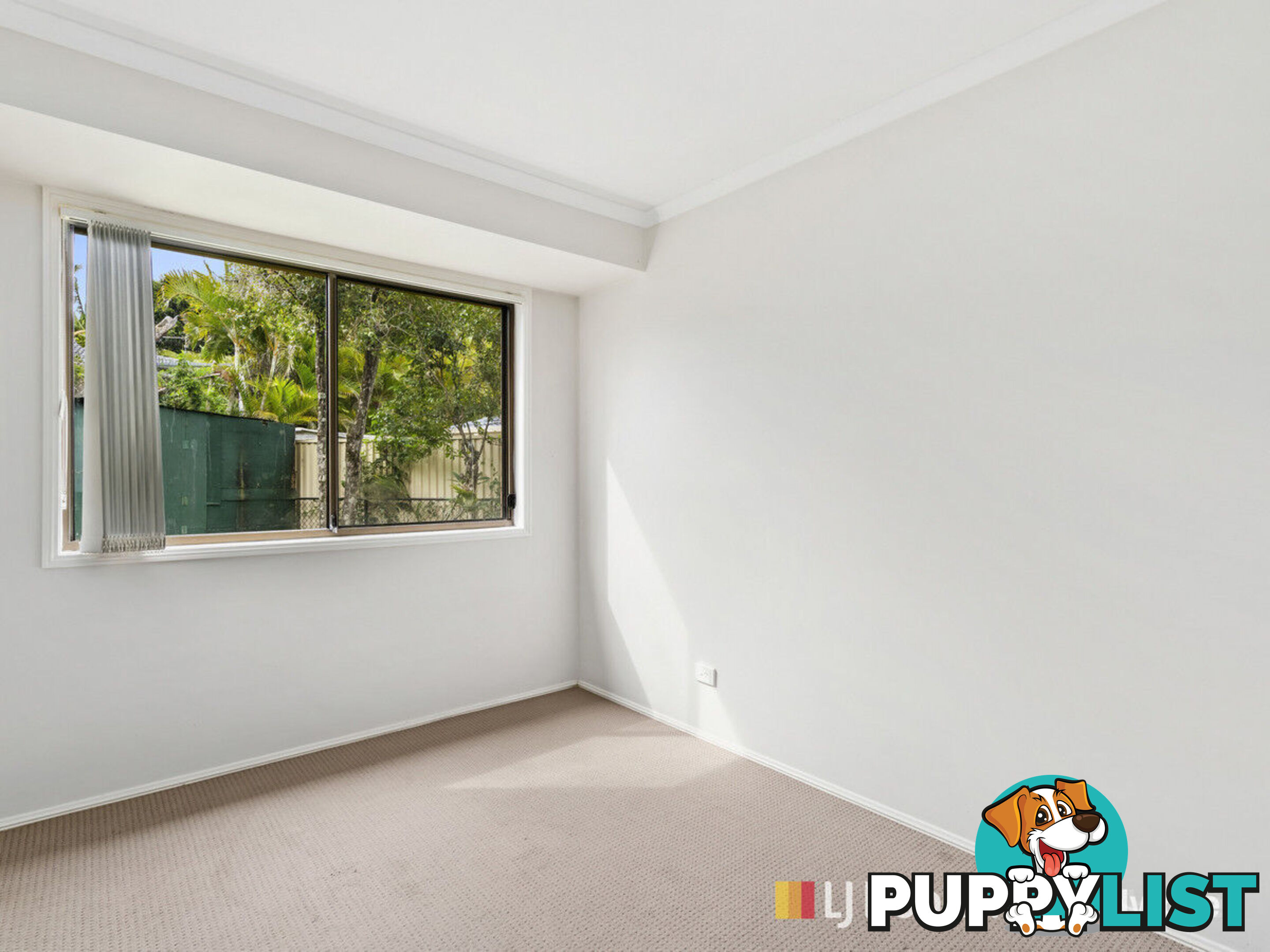 1/8 Academy Street OXENFORD QLD 4210