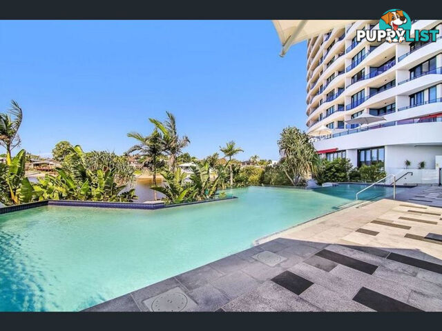 2703/5 Harbour Side Court BIGGERA WATERS QLD 4216