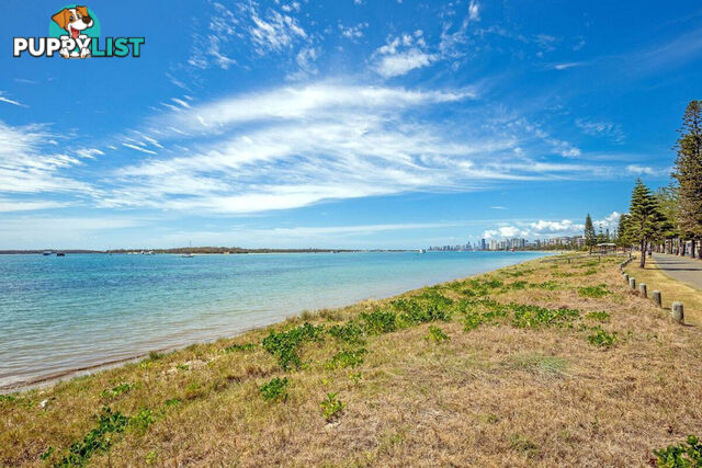 2/526 Marine Parade BIGGERA WATERS QLD 4216