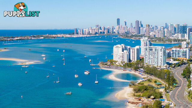 1/23 Brighton Street BIGGERA WATERS QLD 4216
