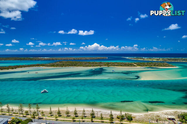 312/392 Marine Parade LABRADOR QLD 4215