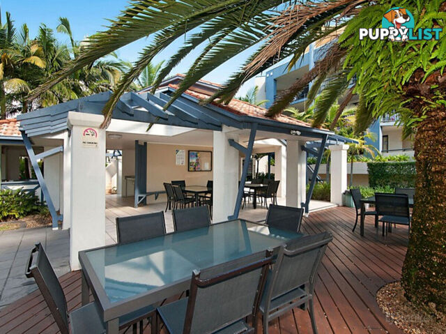 312/392 Marine Parade LABRADOR QLD 4215