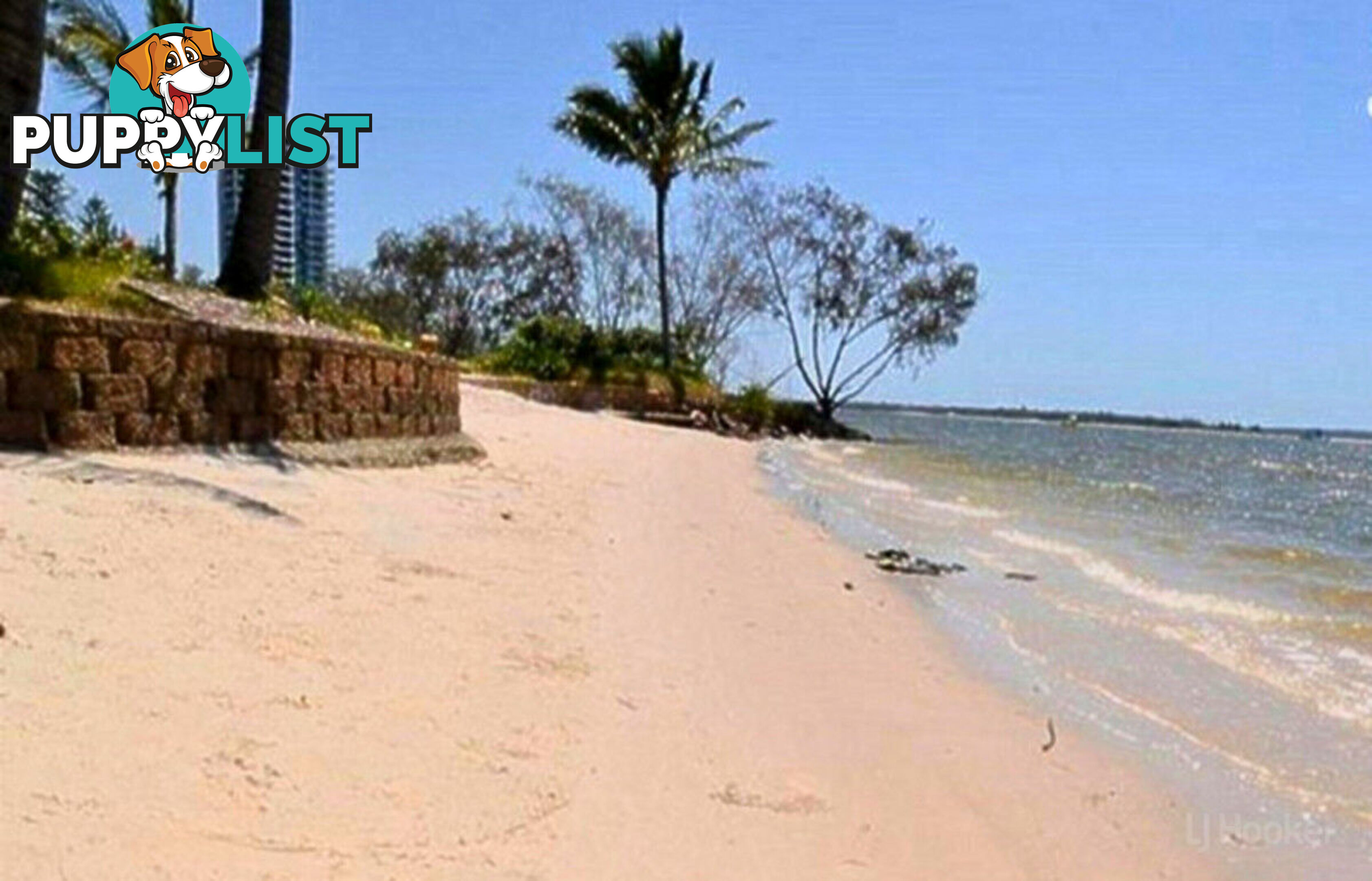 8/198 Marine Parade LABRADOR QLD 4215