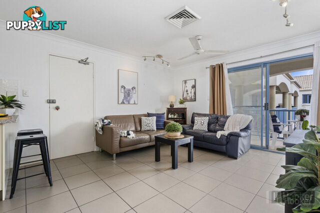15/103-105 Frank Street LABRADOR QLD 4215