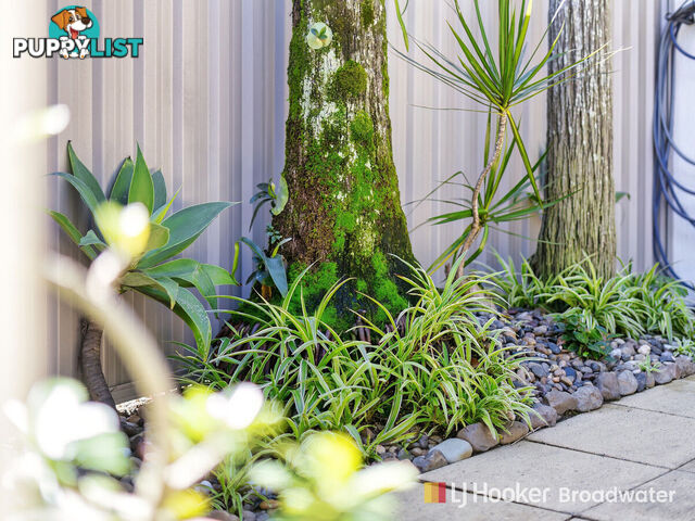 8/71 Olsen Avenue LABRADOR QLD 4215