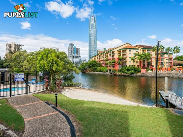 53/49 Peninsular Drive SURFERS PARADISE QLD 4217