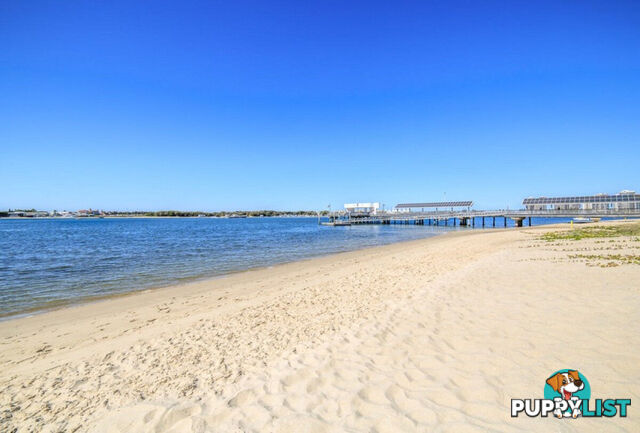 2/209 scarborough Street SOUTHPORT QLD 4215