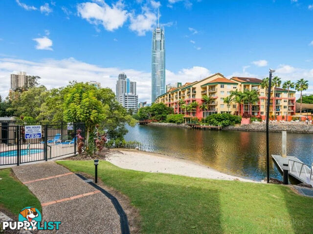 53/49 Peninsular Drive SURFERS PARADISE QLD 4217