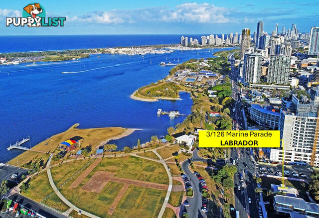 3/126 Marine Parade SOUTHPORT QLD 4215