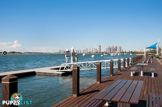 1008/360 Marine Parade LABRADOR QLD 4215