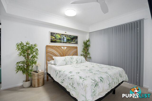 8/425 Pine Ridge Road RUNAWAY BAY QLD 4216