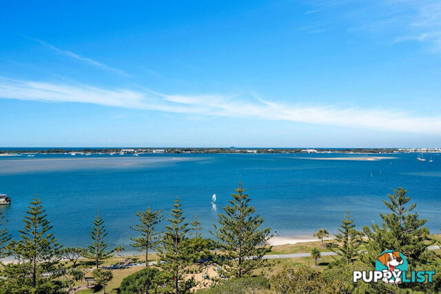 903/212-214 Marine Parade LABRADOR QLD 4215