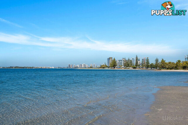 903/212-214 Marine Parade LABRADOR QLD 4215