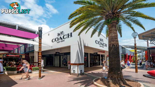 1/12 Calvary Court LABRADOR QLD 4215