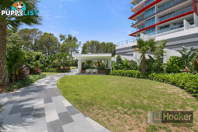 3204/25-31 East Quay Drive BIGGERA WATERS QLD 4216