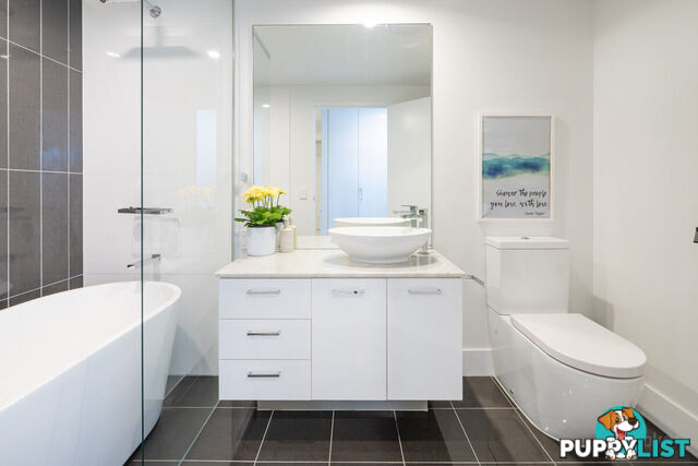 1505/5 Harbour Side Court BIGGERA WATERS QLD 4216
