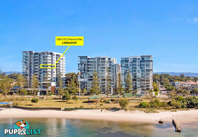 1001/372 Marine Parade LABRADOR QLD 4215